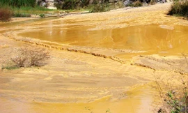 Dân hoảng sợ vì bùn đỏ 