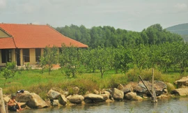 Trung tâm phục tráng cam Xã Đoài