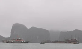 Thăm Vịnh Hạ Long, một du khách rơi xuống biển