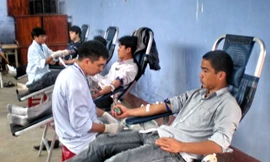 Nguồn “máu sống” của huyện Phong Điền góp phần cứu sống hàng trăm mạng người từ nhiều năm qua.