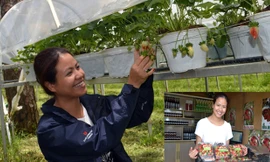 Cô chủ tại vườn dâu (ảnh lớn). Chị Thủy giới thiệu sản phẩm do công ty mình sản xuất (ảnh nhỏ)