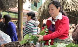 Chợ quê trong phố. Ảnh: T.Hiếu