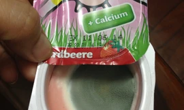Hộp sữa chua chị Na phát hiện nấm mốc trên bề mặt. Ảnh: Nguyễn Hà