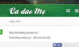 Tinh hoa của giới trí thức e phải soi bằng kính hiển vi