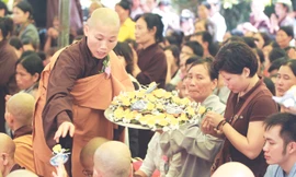 Hoa hồng và nước mắt. Ảnh: N.M.Hà