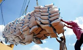 Lãi suất vay mua tạm trữ thóc, gạo không quá 7%/năm