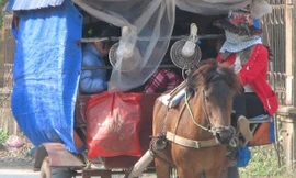 Hiệu trưởng Trường tiểu học Tiên Dược: “Các anh bắt xe ngựa, học sinh về bằng cách nào”.