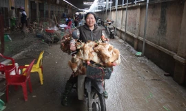 Ảnh chụp tại chợ Hà Vỹ ngày 26/2. ảnh: nguyễn tú