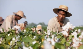 Dù chỉ thắng một giải Quả cầu vàng, “12 năm nô lệ” xứng đáng là phim hay của năm 2013