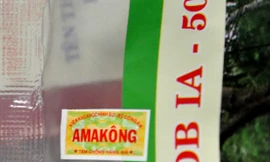 Tem chống hàng giả có tên Ama Kông 