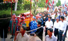 Cây đa được trồng lại trên nền móng của cây đa cũ giữa làng. ảnh: Cát Hiền