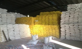 Kho gạo bà Nguyễn Thị Nguyệt (Lào Cai) còn tồn khoảng 2.300 tấn chưa xuất được sang Trung Quốc. Ảnh: Phạm Anh