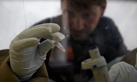 Thử nghiệm thành công vắc-xin Ebola trên khỉ
