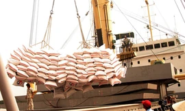 Kiểm tra, giám sát mua tạm trữ lúa gạo