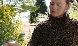 Chiếc áo từ 12.000 chú ong