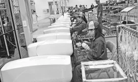 Bộ KH&ĐT không có quyền ép doanh nghiệp đăng thông tin trên cổng thông tin của mình. Ảnh: L.H.V