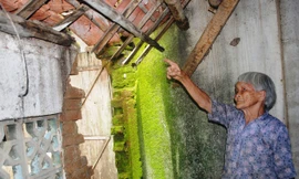 Mẹ liệt sỹ ở trong nhà xuống cấp