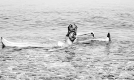 Du khách tại Biển Chết. Ảnh: Hà Anh