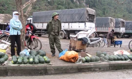 Không xuất được, dưa bán tháo ở cửa khẩu, không ai mua. ảnh: Duy Chiến