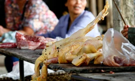 Quầy bán gà tết, ruồi bâu ở một chợ Hà Nội. ảnh: hồng vĩnh