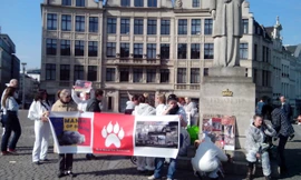 Ngày 8/3 vừa qua một nhóm người thuộc Hội Bảo vệ động vật tụ tập tại trung tâm Brussels phản đối lệnh giết chó hoang của pháp luật Rumani. Khẩu hiệu giăng “Thẻ đỏ cho Rumani”, “Rumani - đất chết”.