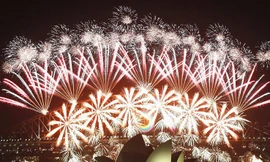 Pháo hoa lộng lẫy chào đón năm mới 2012