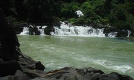 Phát hiện quần thể hang dơi đầy bí ẩn