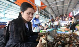 Cua gạch cũng bị bơm phoócmôn!