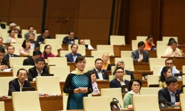 Đại biểu Nguyễn Thị Quyết Tâm (TP Hồ Chí Minh). Ảnh Nhật Minh 