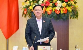 Xem xét, phê chuẩn bổ nhiệm, miễn nhiệm Đại sứ đặc mệnh toàn quyền 