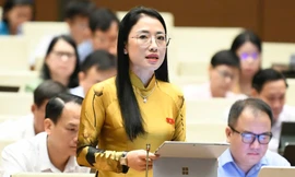Sau các vụ sữa giả, thực phẩm chức năng giả: Quy định quảng cáo với người nổi tiếng ra sao?