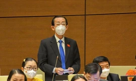 Đại biểu Quốc hội Trần Hoàng Ngân (đoàn TP. HCM)