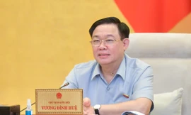 Sửa luật có khắc phục được tình trạng bỏ cọc như vụ đấu giá đất Thủ Thiêm? 