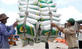 Phó Thủ tướng yêu cầu làm rõ vụ mở tờ khai xuất khẩu gạo nửa đêm của Hải quan