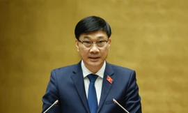 Người Việt Nam định cư ở nước ngoài 'có đầy đủ các quyền liên quan đến đất đai'