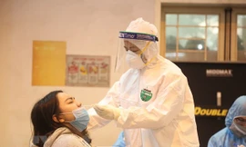 Ổ dịch Hải Dương, Quảng Ninh sớm được kiểm soát