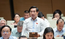 Đại biểu Quốc hội đề xuất phân nhóm 'số đẹp' điện thoại để đấu giá 