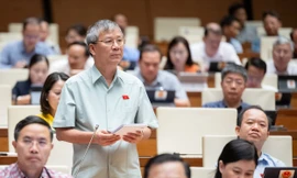 Đại biểu Quốc hội: Thực sự đau buồn trước 'nạn dịch' cán bộ sợ trách nhiệm 