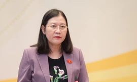 Xuất hiện nhiều đường dây mua bán người dưới thủ đoạn 'việc nhẹ, lương cao'