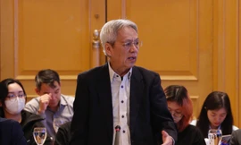 'Nếu bộ máy sợ đến mức không dám làm, kinh tế Việt Nam sẽ vô cùng khốn đốn'