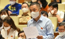 PGS. Nguyễn Lân Hiếu, đại biểu Quốc hội đoàn Bình Định