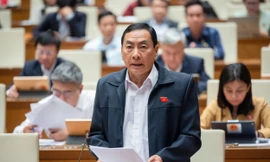 Đại biểu Quốc hội nói vẫn 'lọt lưới những con cá to' trong vụ án tham nhũng lớn 