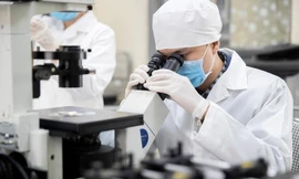 Chính sách tiền lương mới với chuyên gia cao cấp là cán bộ, công chức