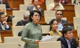 Đại biểu Quốc hội Tô Thị Bích Châu, TPHCM