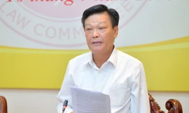 Sáp nhập huyện, xã gắn với tinh gọn bộ máy, cải cách chính sách tiền lương 