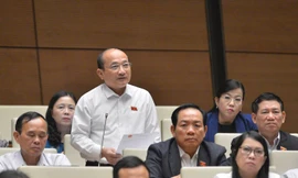 Đại biểu Quốc hội Nguyễn Thanh Hiền (Nghệ An) 