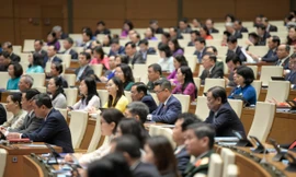 Sợ sai, sợ đến bao giờ?