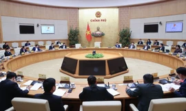 Chính phủ thống nhất trình Quốc hội dự án Luật Dẫn độ