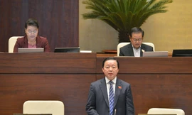 Bộ trưởng NT&MT Trần Hồng Hà. Ảnh QH