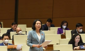 Đại biểu Mai Thị Phương Hoa (đoàn Nam Định) 